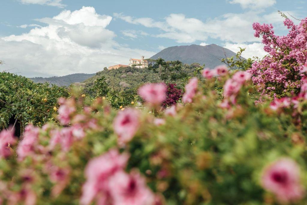 Villa Aura Torre del Greco Bagian luar foto
